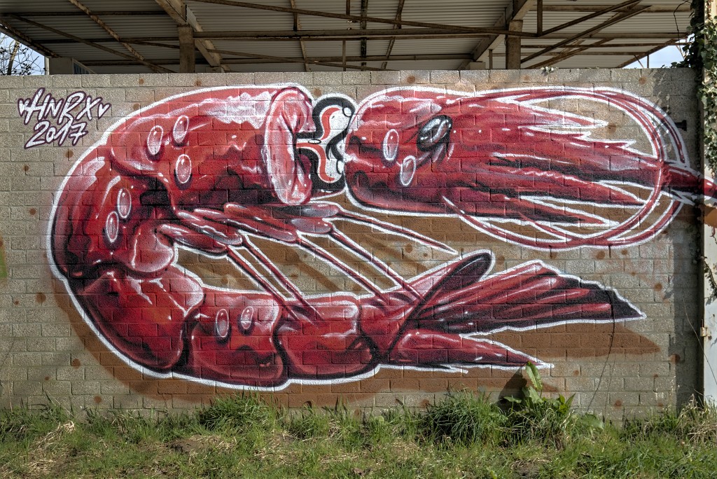 graffiti doel belgie roa hdr urbex art kunst kunstwerk mural murals